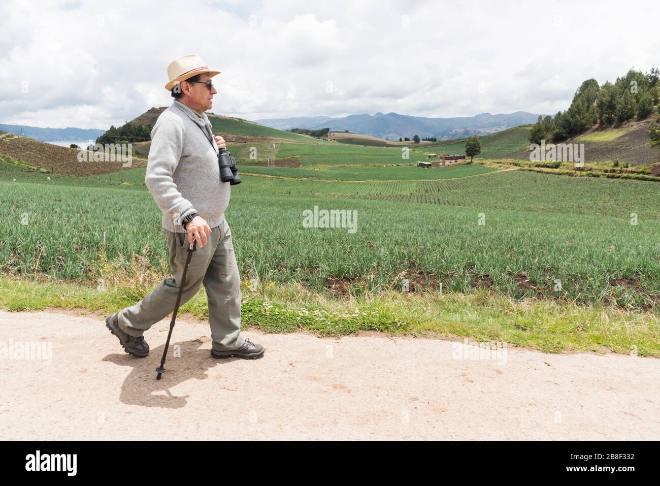 Aquitania, Boyaca / Colombia; April 8, 2018: man walking along a path surrounded by welsh onion fields Stock Photo