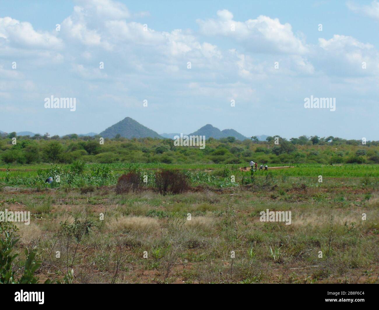 Zimbabwe Farming Resolution Stock Photography Images