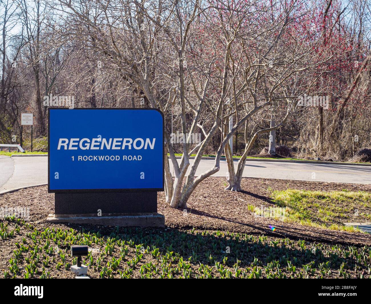 Tarrytown, NY - 21 March 2020 - Entrance to Regeneron Pharmaceuticals, a biotech company involved with a cocktail therapy of monoclonal antibodies to Covid-19 and other biologic drugs, Tarrytown, New York. Regeneron  is also working with Sanofi on other biologic drugs. Stock Photo