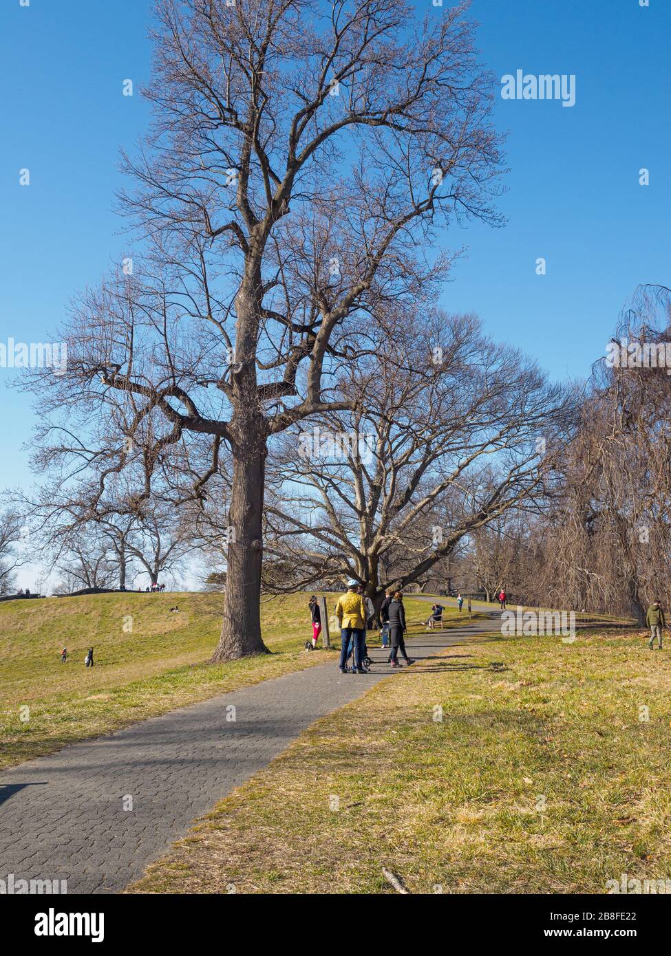 Tarrytown, NY - 21 March 2020: On the first day of spring, New Yorkers hike in Rockefeller State Park as cases of coronavirus top 10,300 in the state. Although NY Governor Andrew Cuomo has ordered all but workers in essential services such as healthcare and groceries to work from home, and to stay home except when necessary, he has also encouraged people to exercise outdoors, noting this means hiking, running, not playing basketball with groups of people. With fewer vehicles on the road, the sky, and therefore the Hudson River, are a beautiful blue. Stock Photo