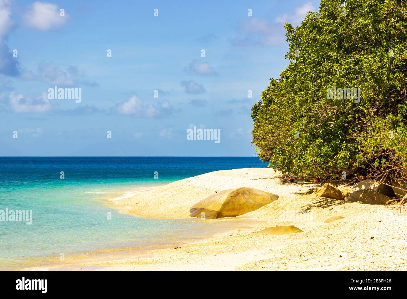 Nudey Beach, Fitzroy Island, rocks break through the crystal clear waters of the Coral Sea with the coast of Queensland Australia in the background. Stock Photo