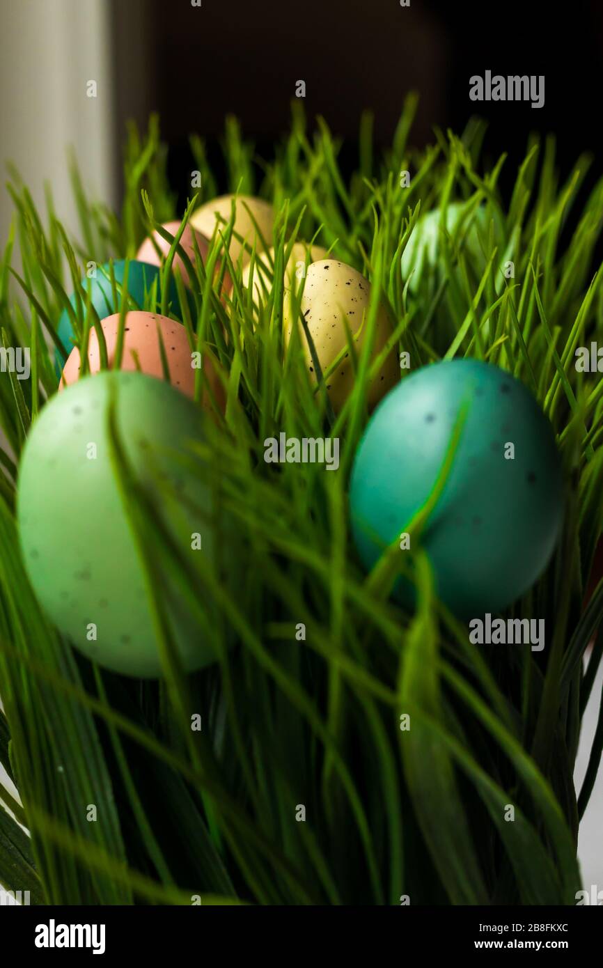 Pastel colored Easter eggs in green fake grass field decorative display background macro close up vertical Stock Photo