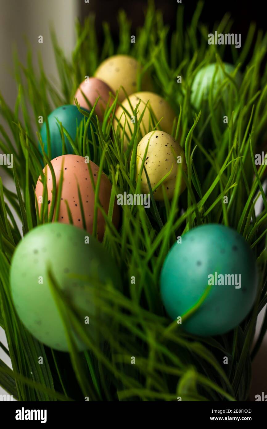 Pastel colored Easter eggs in green fake grass field decorative display background macro close up Stock Photo