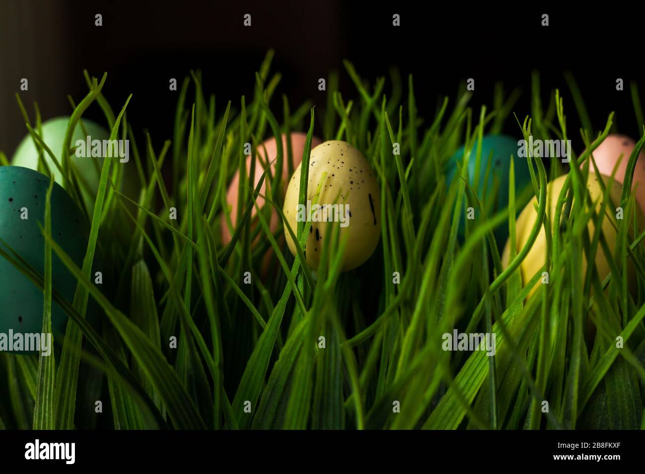 Pastel colored Easter eggs in green fake grass field decorative display background macro close up Stock Photo