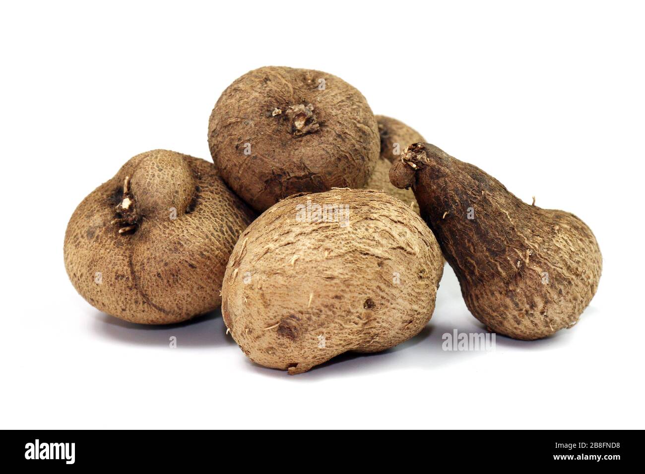 Dioscorea, Mun-Neb (Thai word), Fresh Dioscorea tuck, Dioscorea slats root isolated on white background, Rubeola fotografie Stock Photo