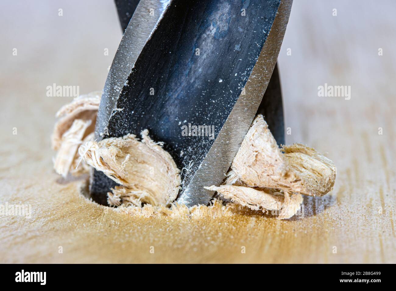 Sharp drill bit make hole to wood, macro view. The metal bit of