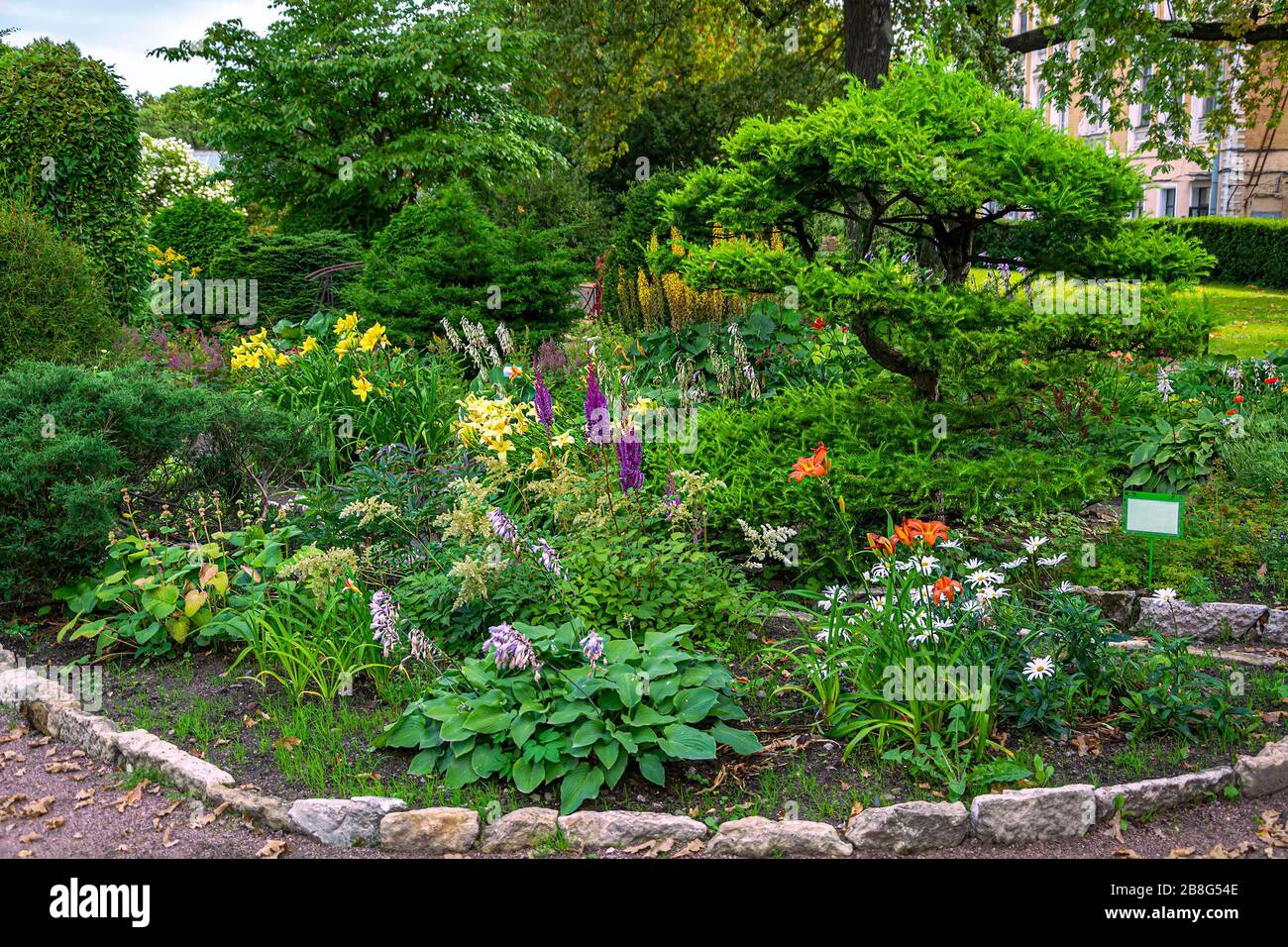 Lush flowering plants in a beautiful garden in early autumn Stock Photo