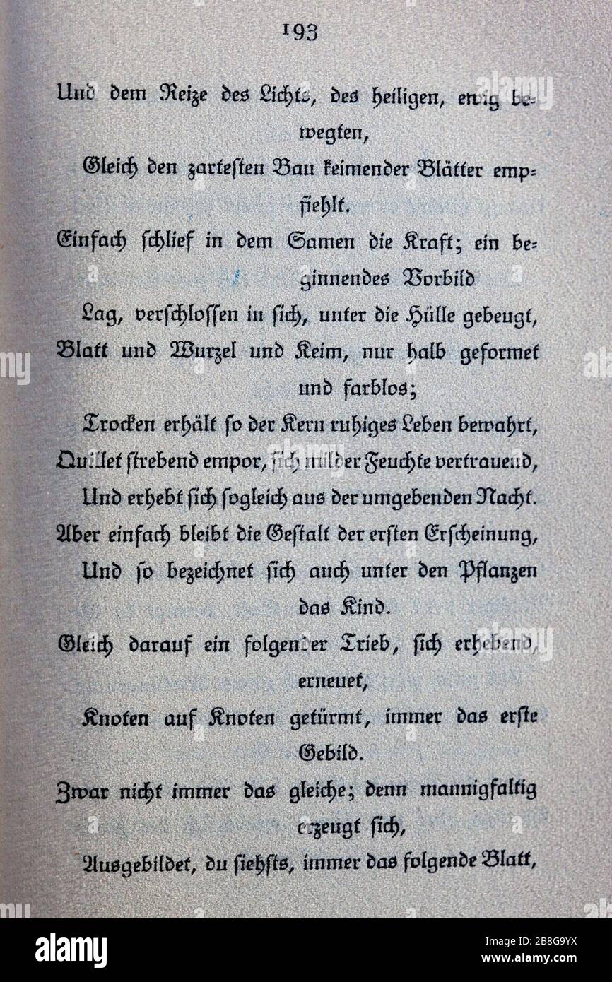 Goethes Liebesgedichte im Insel Verlag-193. Stock Photo