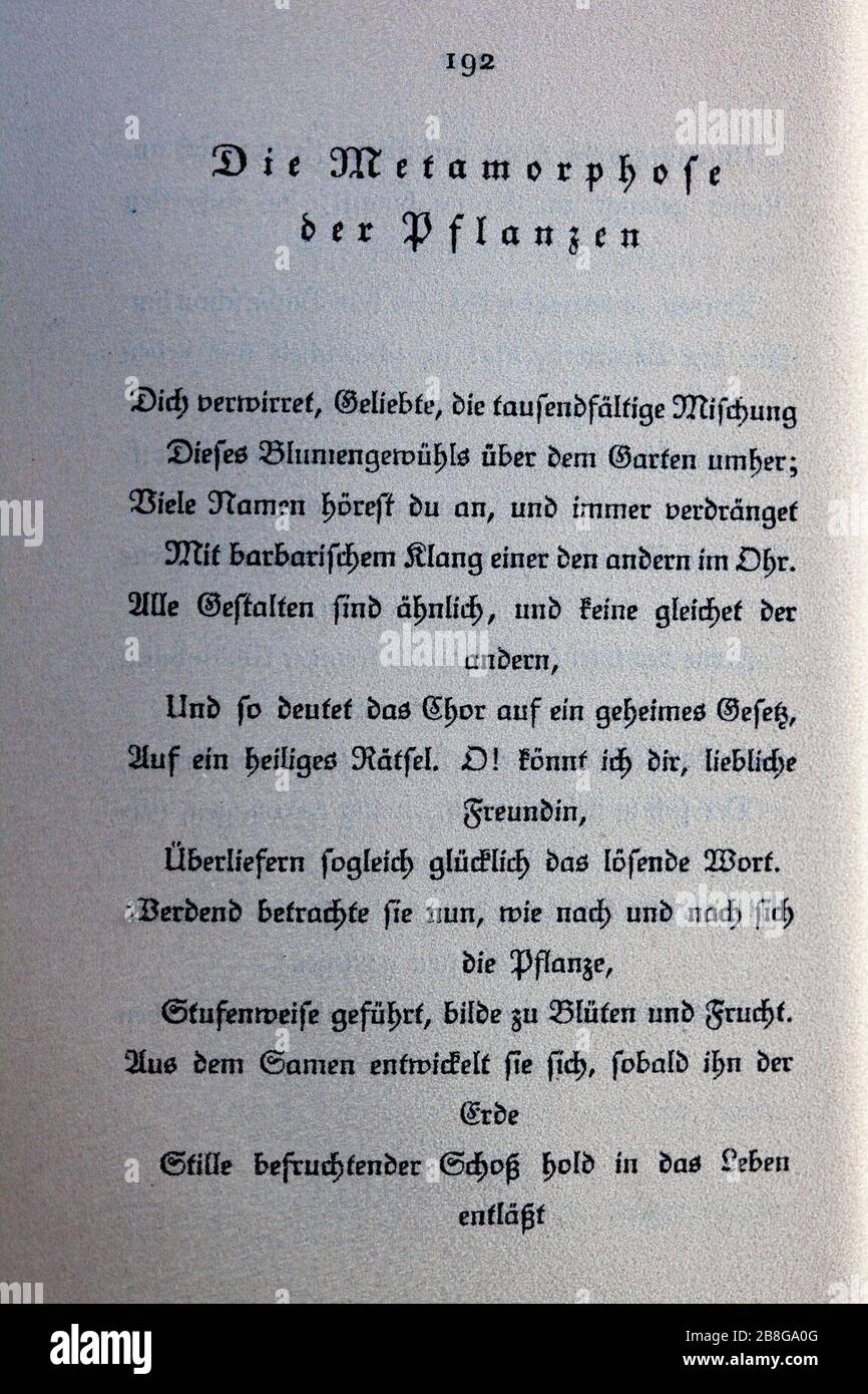 Goethes Liebesgedichte im Insel Verlag-192. Stock Photo