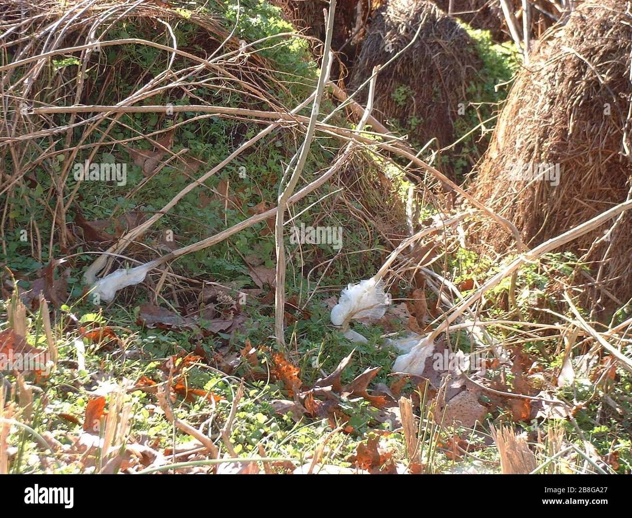 02 23 2006 High Resolution Stock Photography and Images Alamy