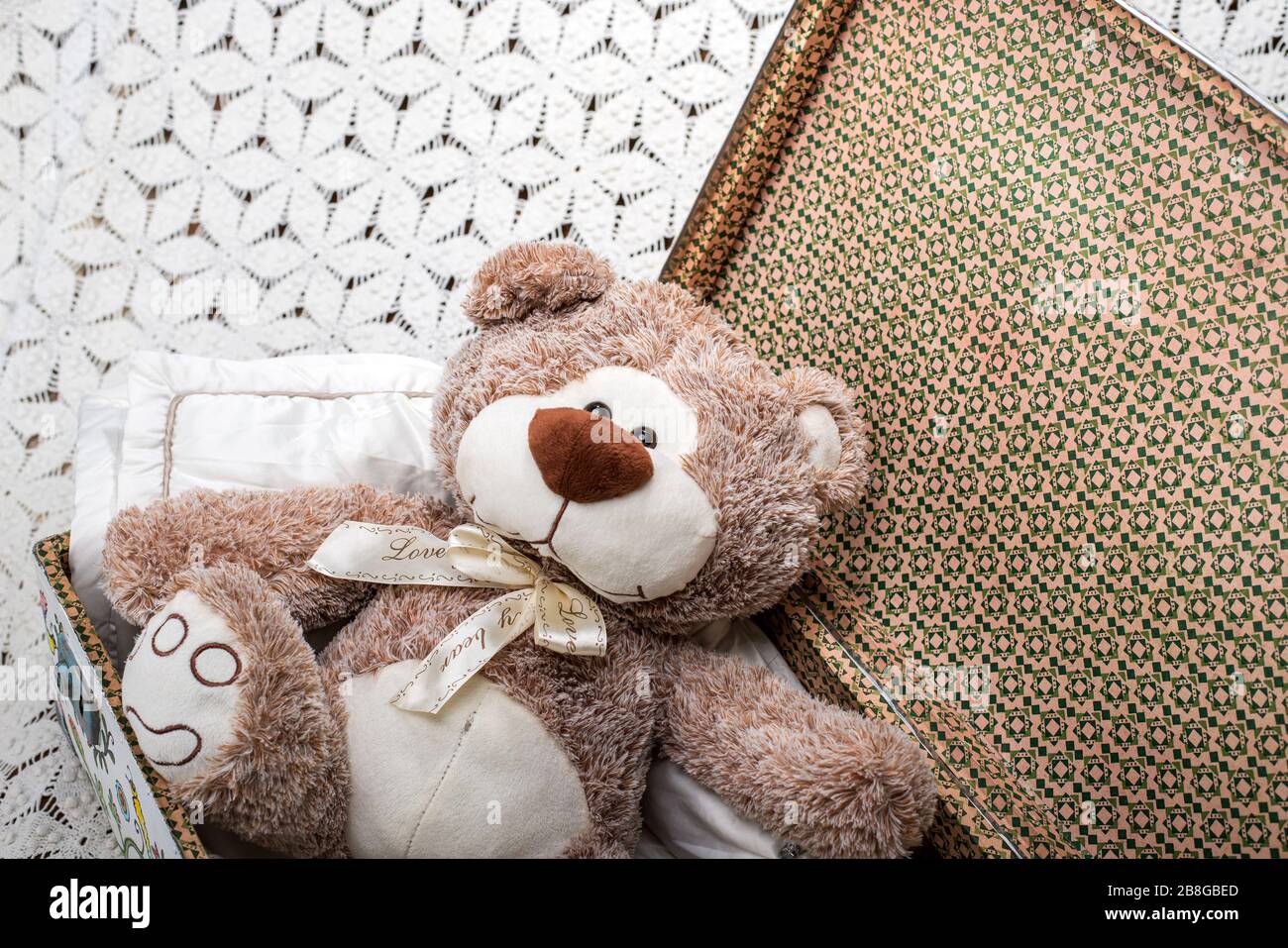 teddy in a suitcase
