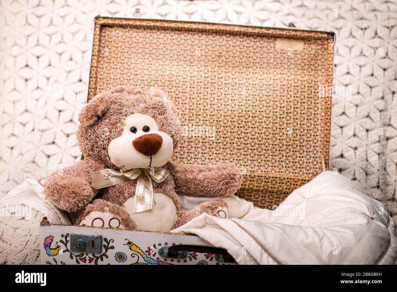 teddy in a suitcase