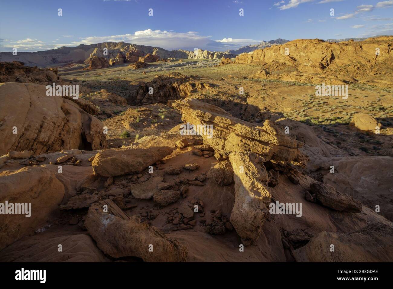 Gold Butte National Monument High Resolution Stock Photography and