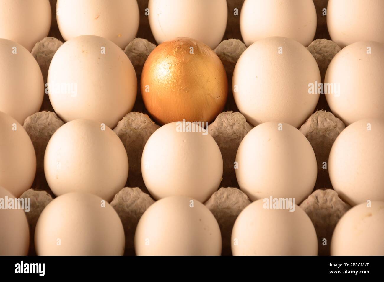 golden egg Stock Photo