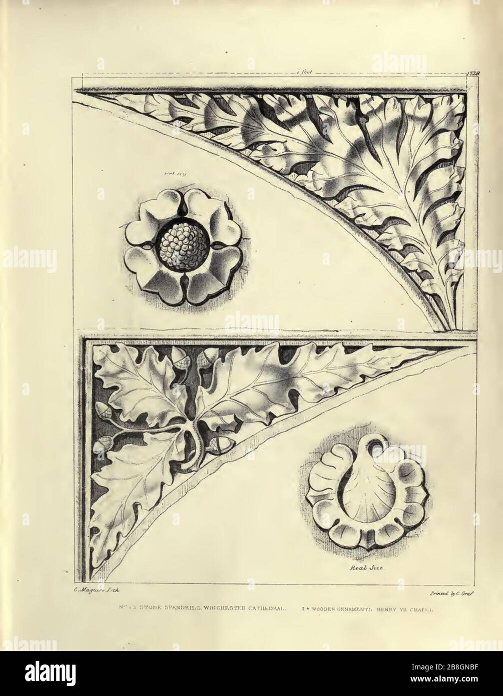 Gothic Ornaments, selected fom various ancient buildings, both in ...