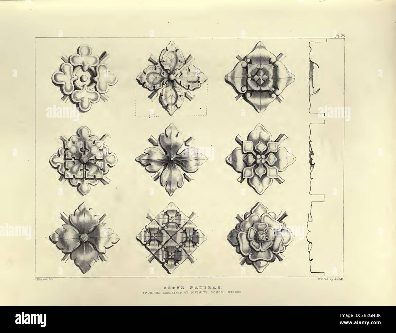 Gothic Ornaments, selected fom various ancient buildings, both in ...