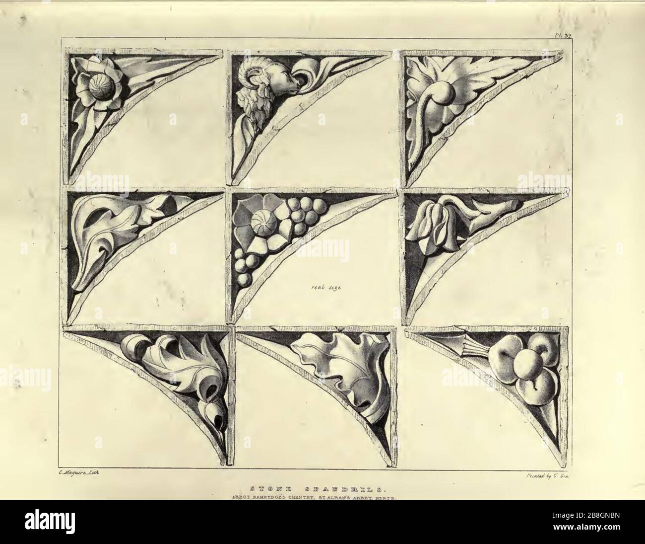 Gothic Ornaments, selected fom various ancient buildings, both in ...