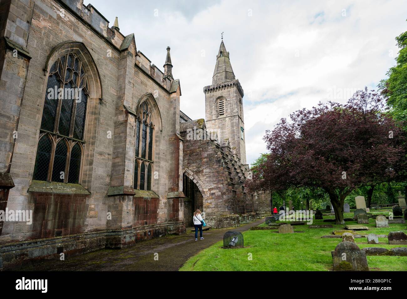 A tourist walks around the famous Dunfermline Abbey and cemetery in the ancient capital, Dunfermline; Kingdom of Fife; Fife; Scotland; UK; Europe Stock Photo