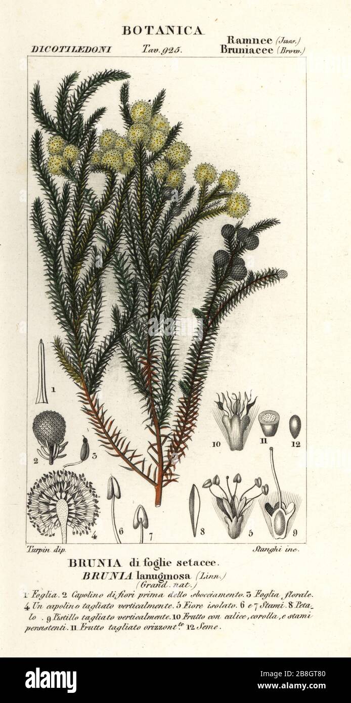 Stanghi High Resolution Stock Photography And Images Alamy