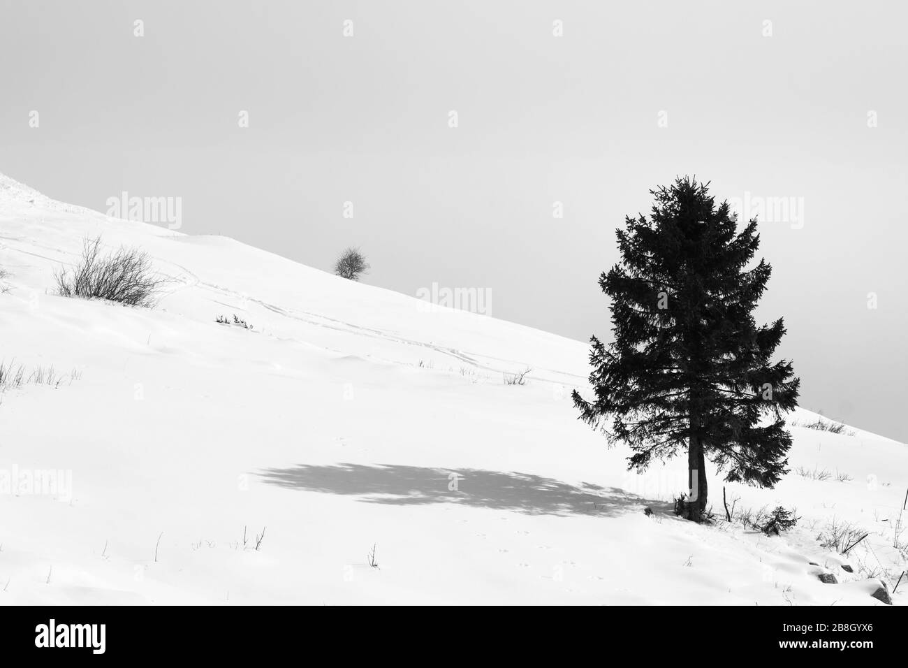 Mountain landscape in winter season. Mount Grappa landscape. Italian