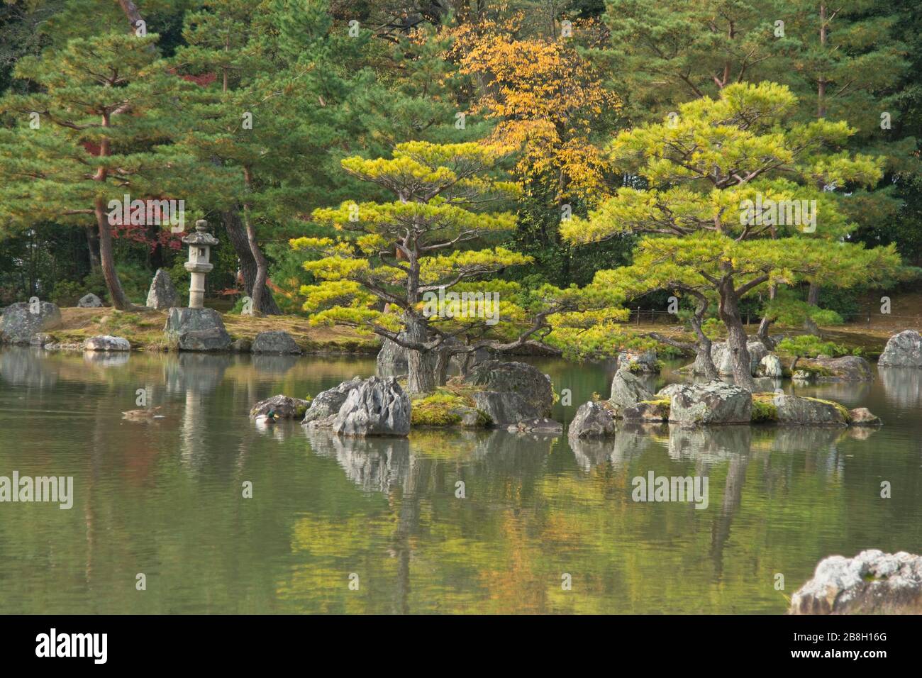 Pond in Japanese garden Stock Photo Alamy