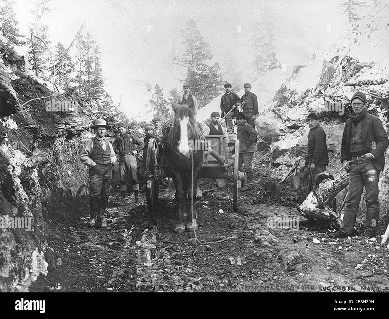 Grading using horses for the construction of the White Pass & Yukon Railroad one mile beyond Log Cabin British Columbia March (HEGG 4). Stock Photo