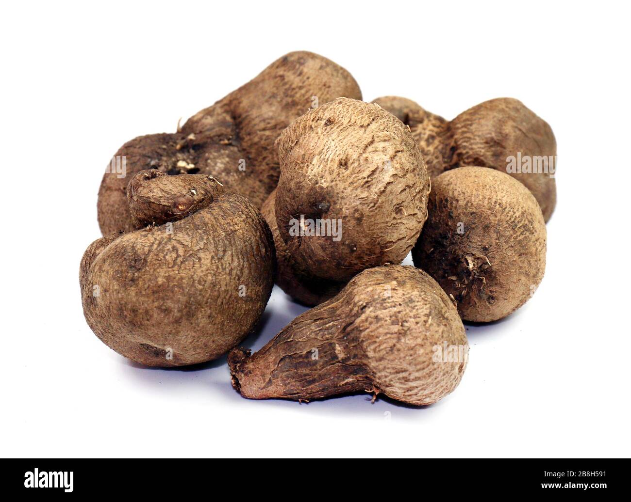 Tugi Root Dioscorea, Mun-Neb (Thai word), Fresh Dioscorea tuck, Dioscorea slats ...