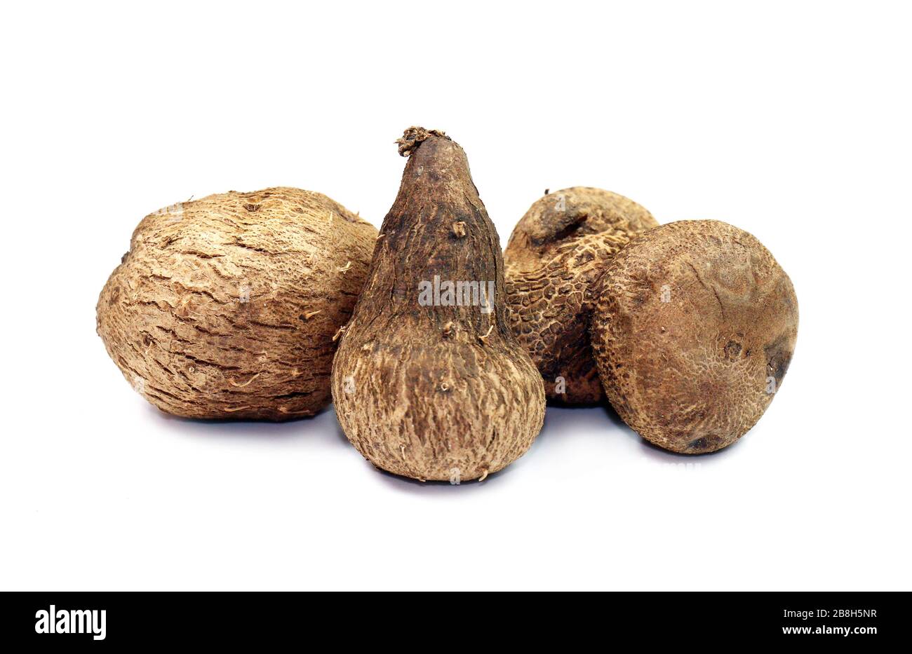 Dioscorea, Mun-Neb (Thai word), Fresh Dioscorea tuck, Dioscorea slats root isolated on white background, Rubeola fotografie Stock Photo