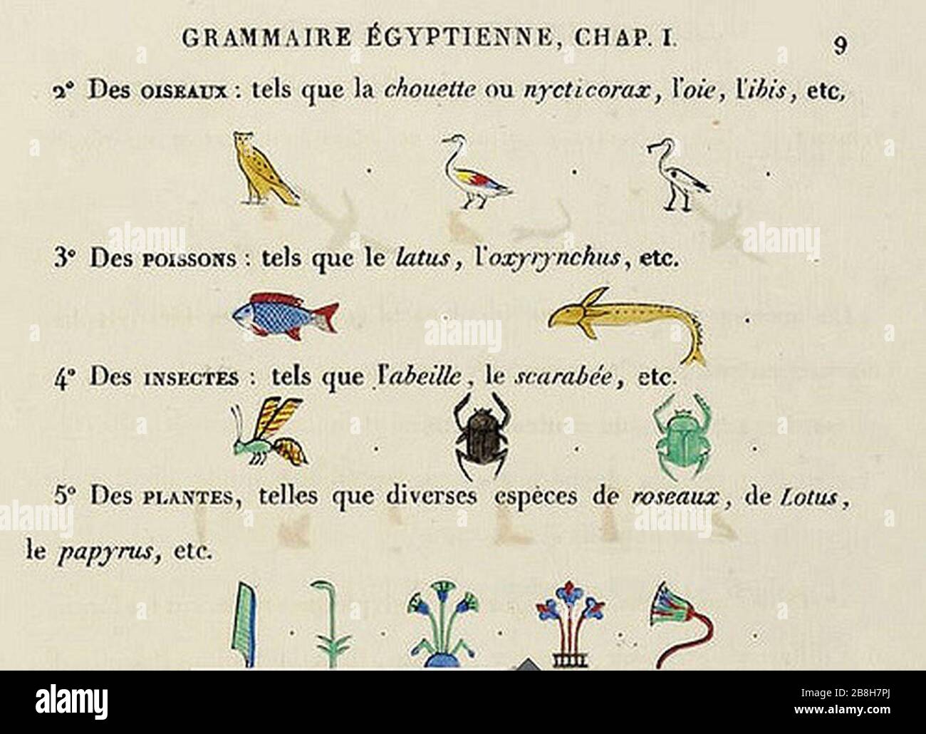 Grammaire égyptienne chap. I p. 9. Stock Photo