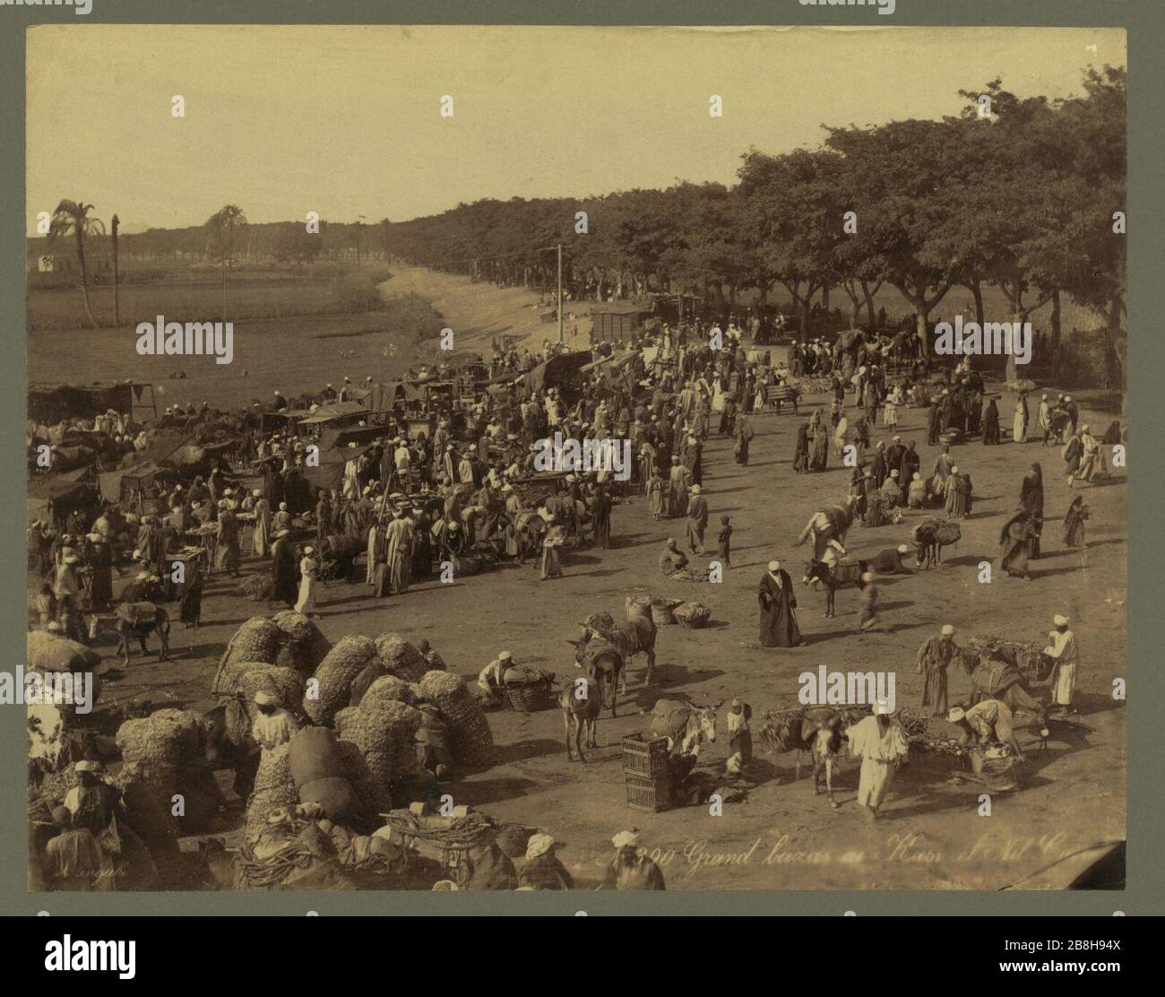 Tirage Ancien Égypte – Grand Bazar Kasr El Nil – Albumine – Vers 1880