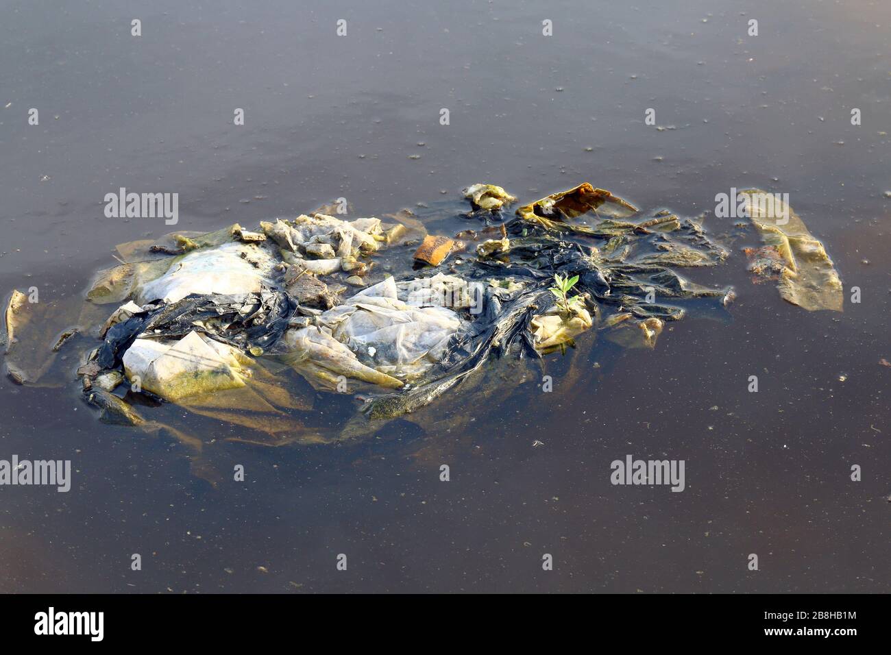 Dirty waste plastic bags on the surface water, Waste plastic bags do not garbage