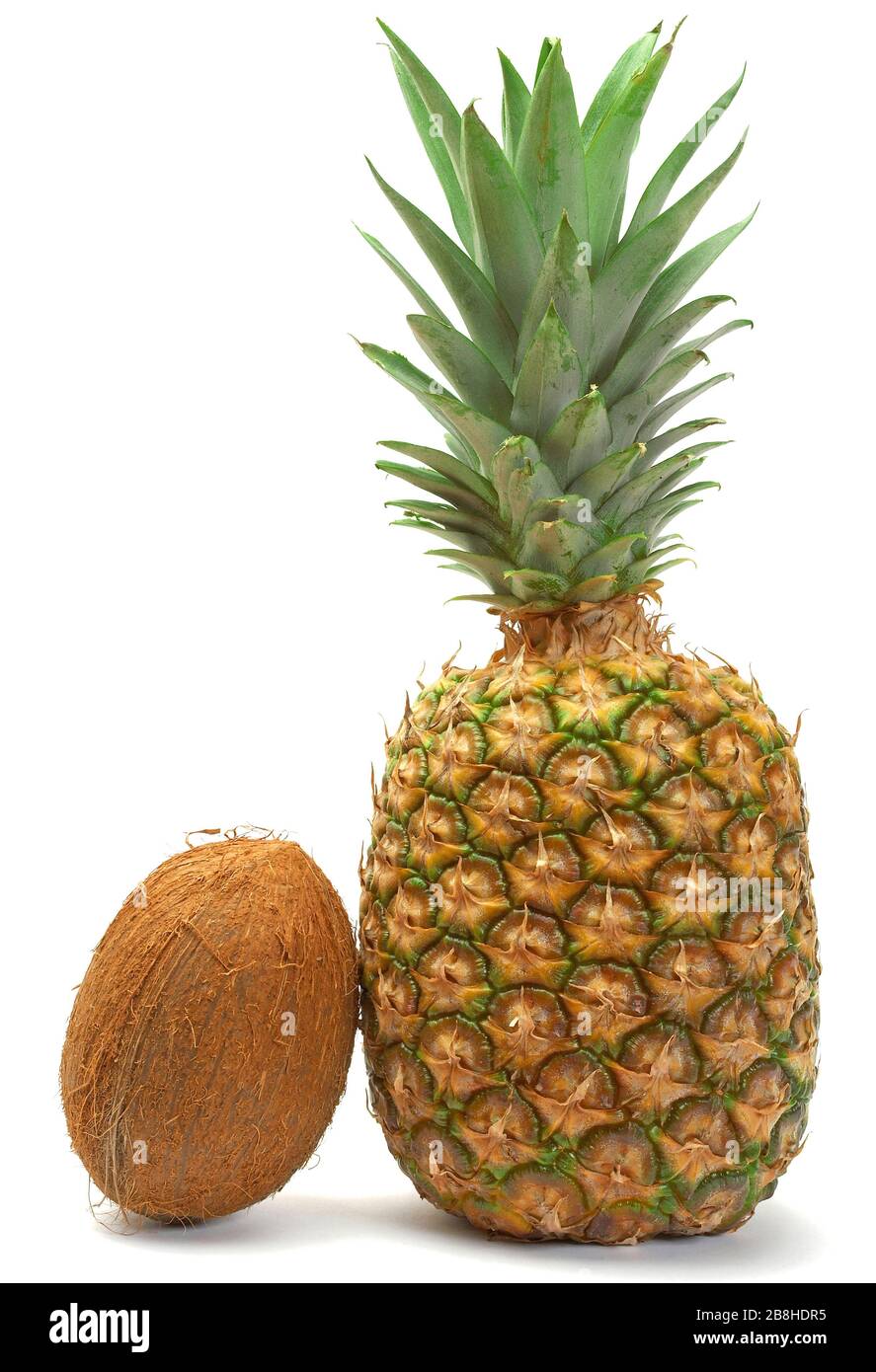 Coco and pineapple isolated on the white background. Stock Photo