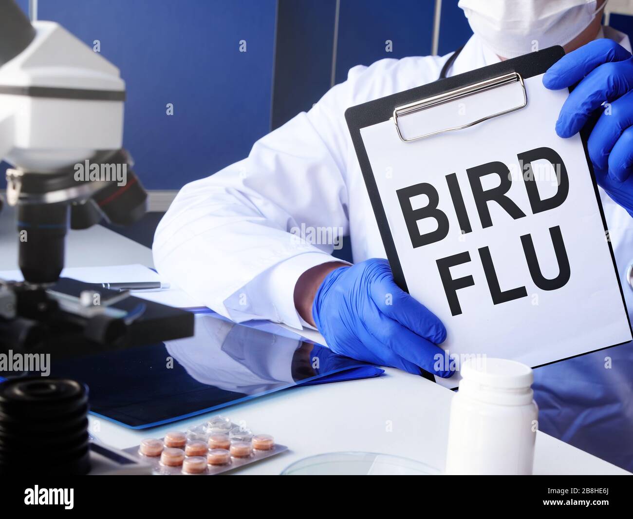 Doctor holds Bird flu diagnosis in the clinic. Stock Photo
