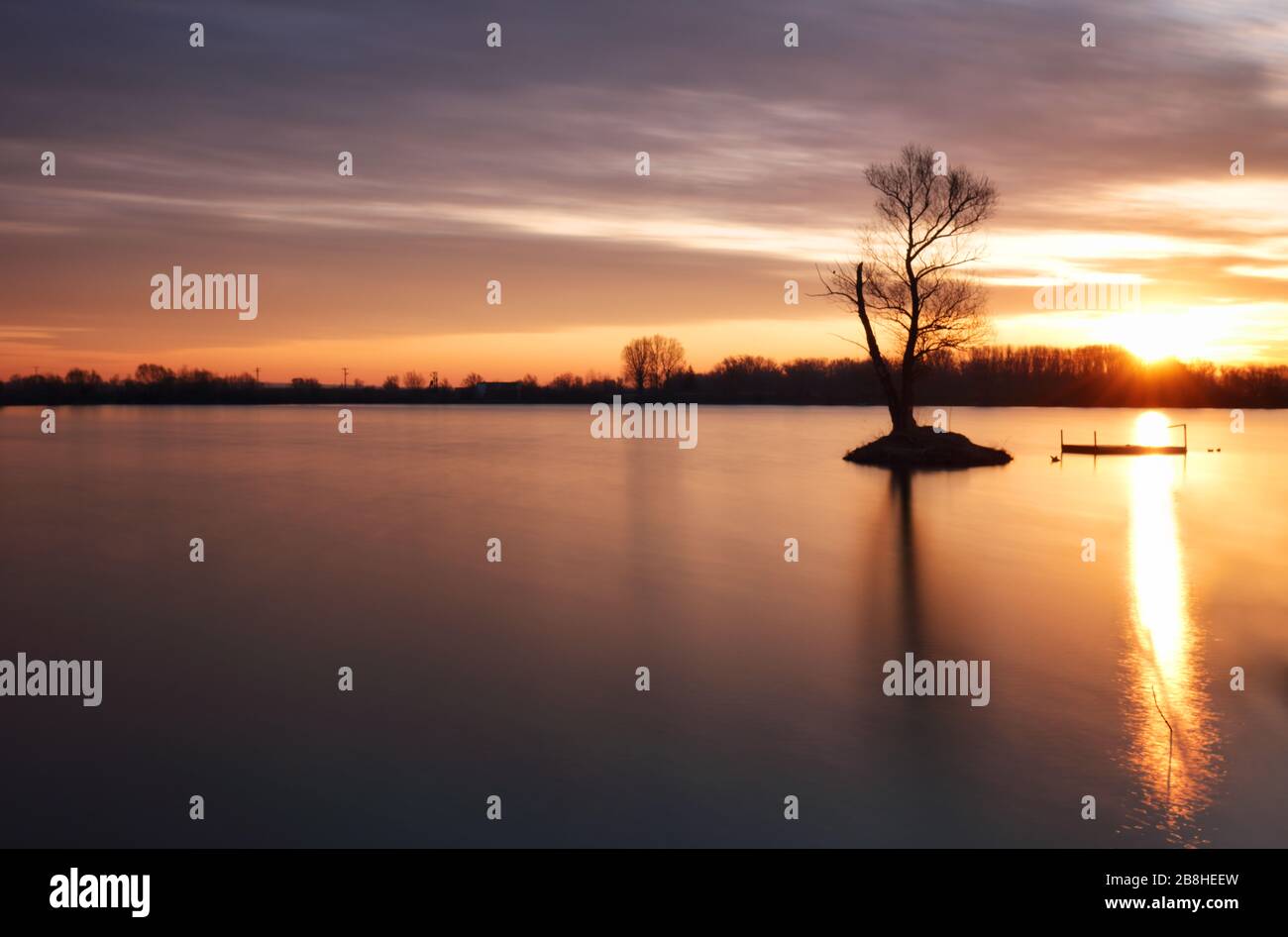 Alone tree hi-res stock photography and images - Alamy
