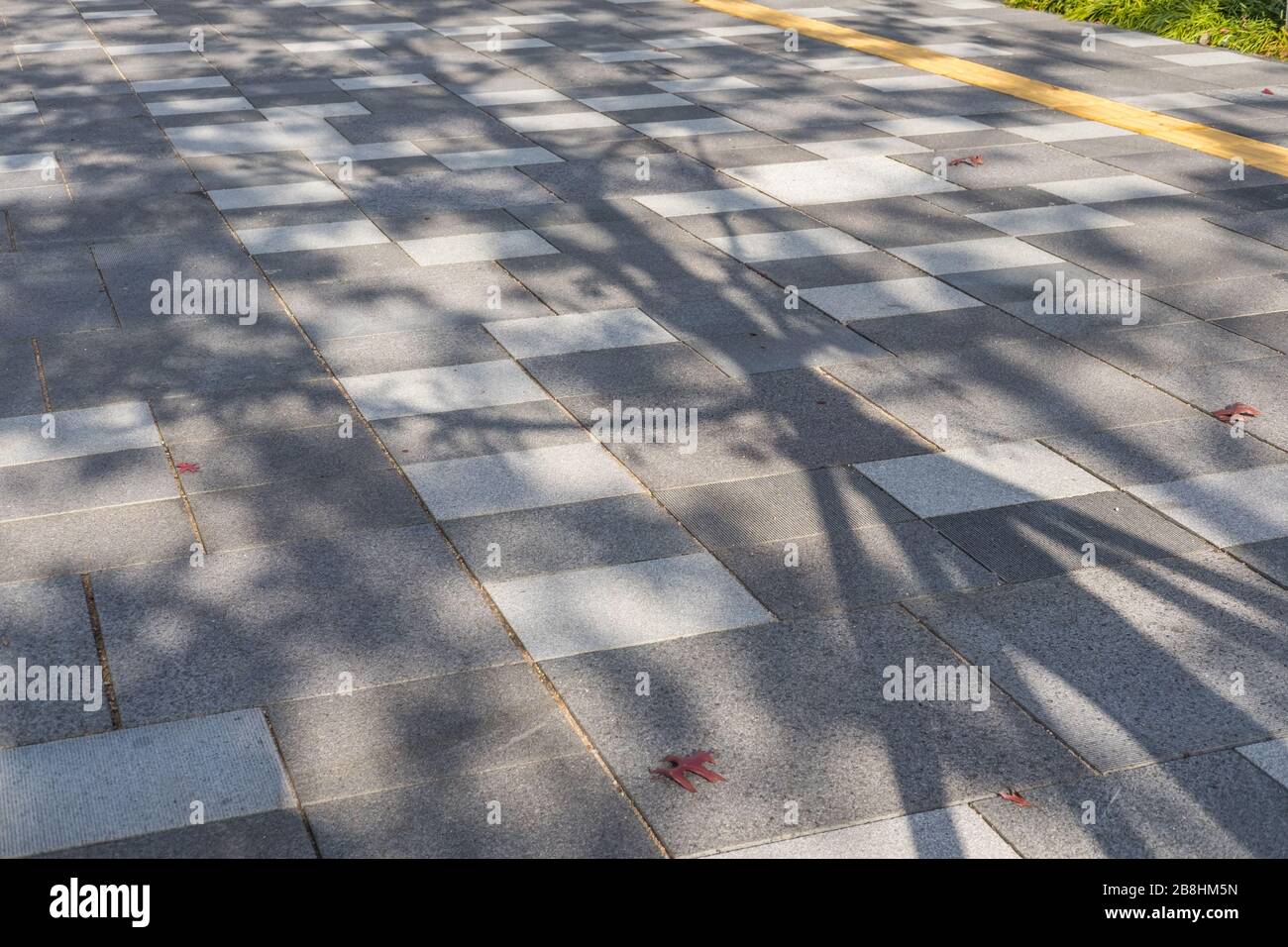 Shadow of leaves on the floor Stock Photo