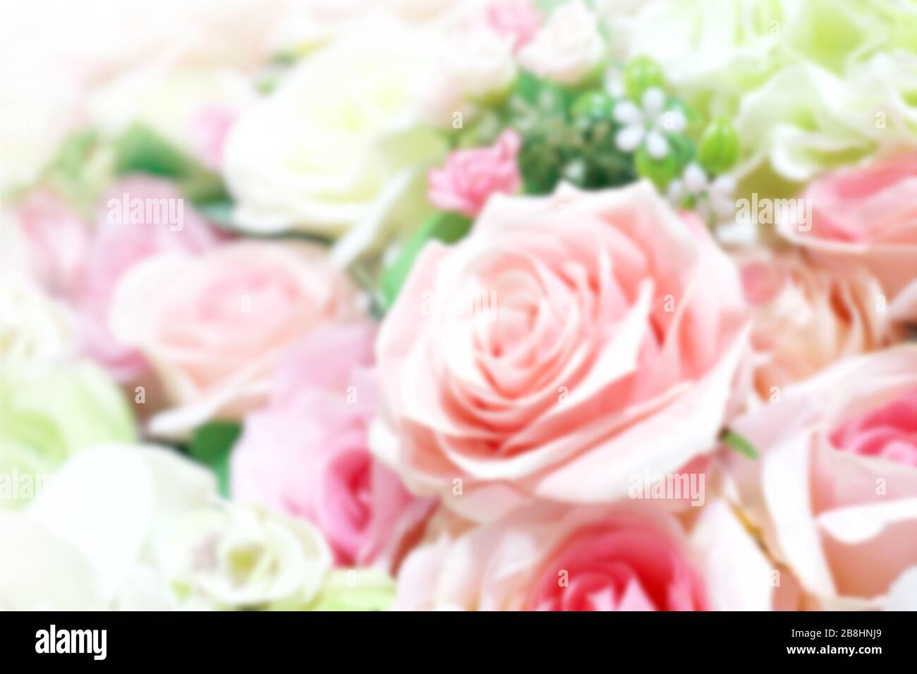 Blurry Roses blurred rose pink soft bouquet for background, roses flower blurry pink ...