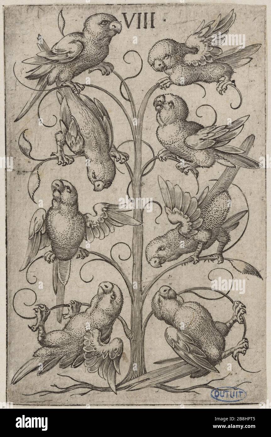 Eight Heart (Bartsch 333) Virgil Solis (1514-1562). 'Huit de Coeur (Bartsch 333)'. Burin. 1545. Musée des Beaux-Arts de la Ville de Paris, Petit Palais. Stock Photo