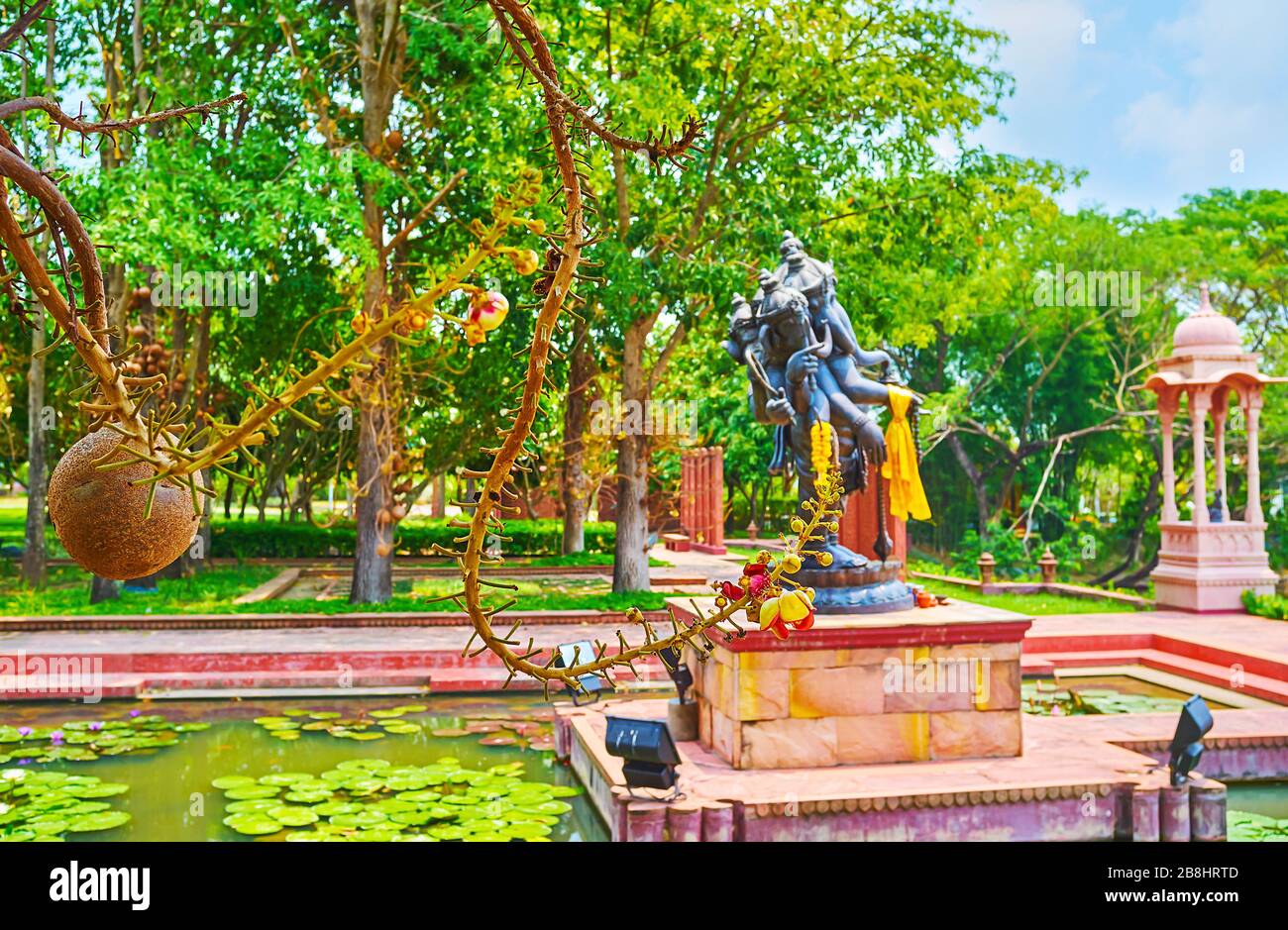 india-garden-is-decorated-with-numerous-cannonball-trees-with-curved