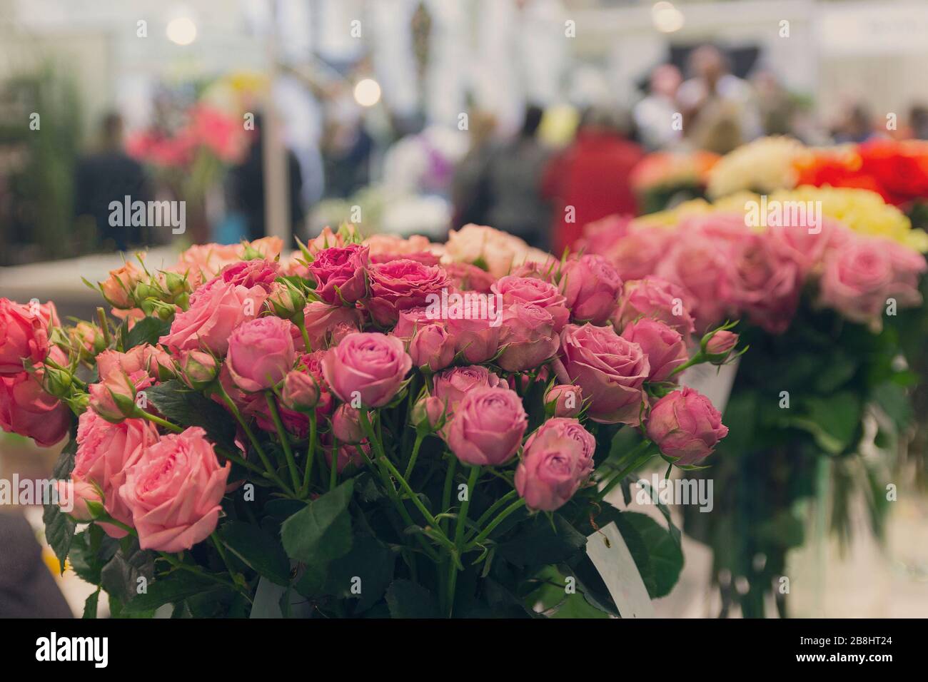 Beautiful roses on sale in the flower shop Stock Photo Alamy