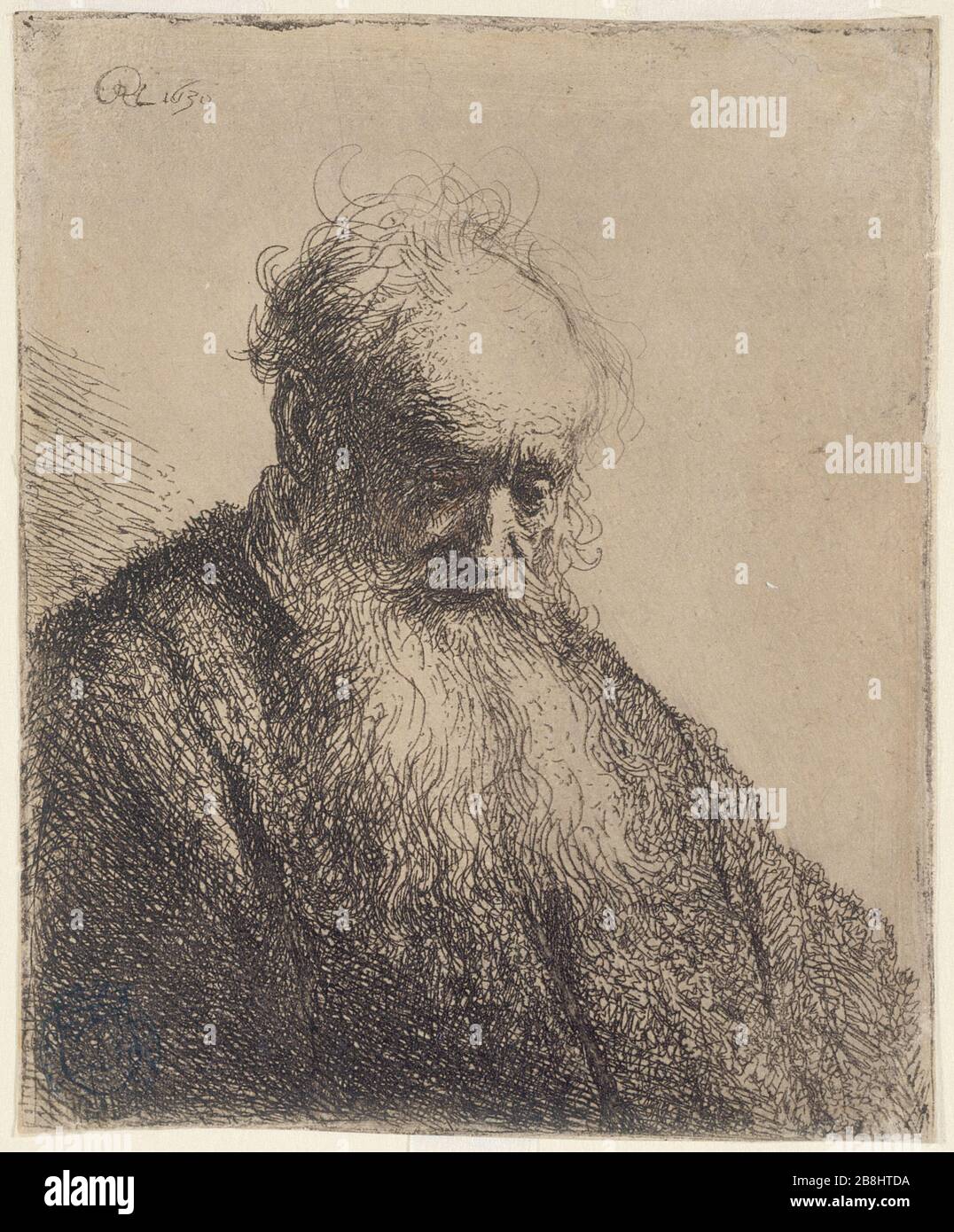 OLD MAN TO LONG BEARD Harmensz van Rijn Rembrandt (1606-1669). 'Vieillard à longue barbe' (B 309, état unique). Musée des Beaux-Arts de la Ville de Paris, Petit Palais. Stock Photo