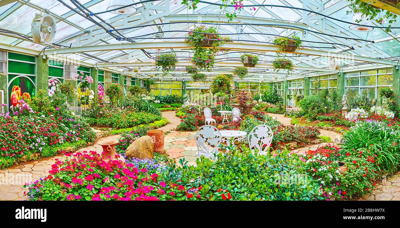 CHIANG MAI, THAILAND - MAY 7, 2019: Panorama of Western flower species pavilion with blooming petunia, pencies, geranium, salvia and other plants in f Stock Photo