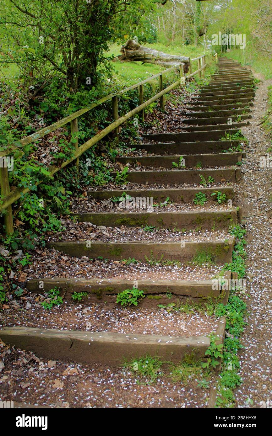 Stairway to heaven Stock Photo Alamy