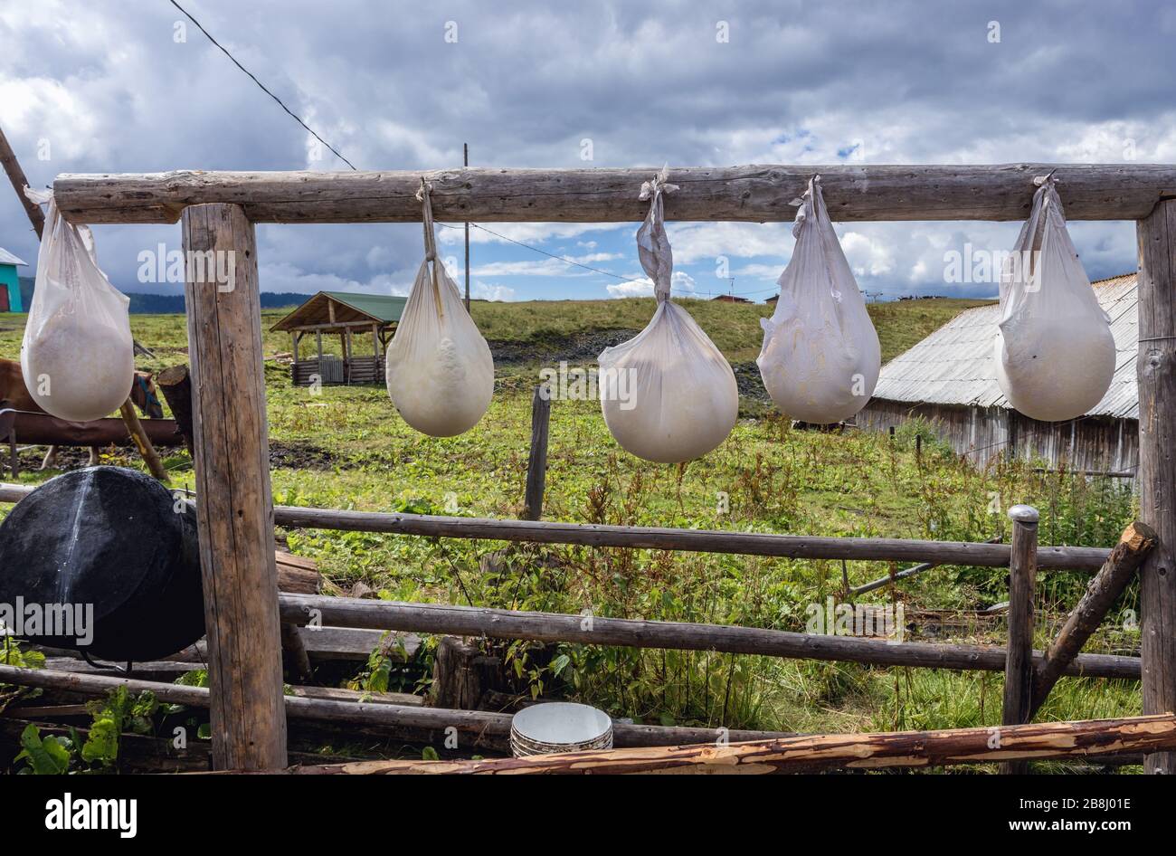 Traditional white fresh cheese made in small hut on a mountain in Borsa resort in Rodna Mountains, located in Maramures County of Northern Romania Stock Photo