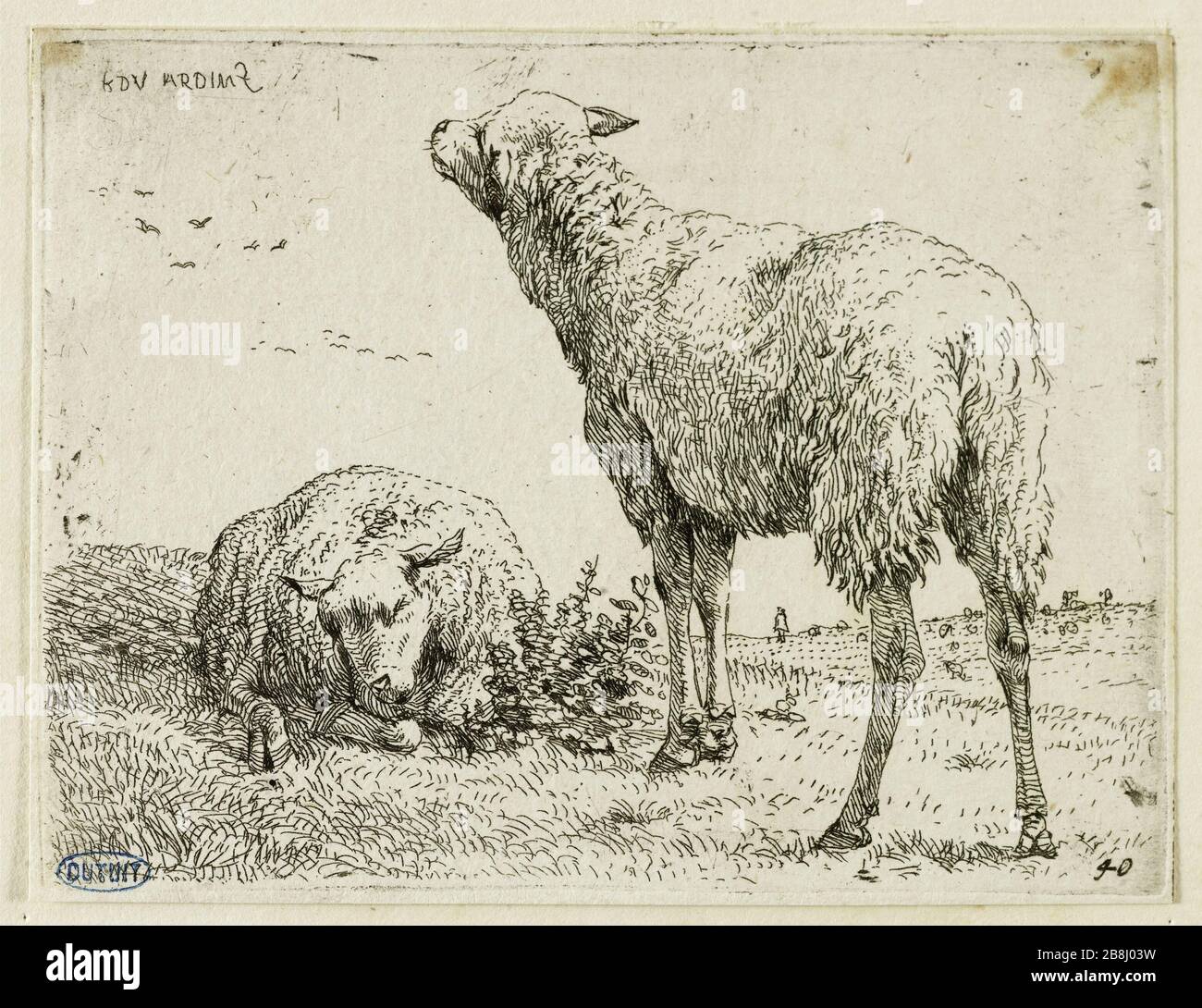 Deux moutons (Aquarelle 20 x 20), image size:1300x1090