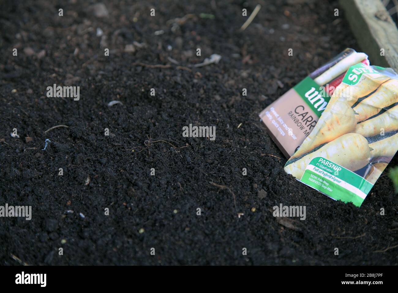 Carrot seed packet hi-res stock photography and images - Alamy