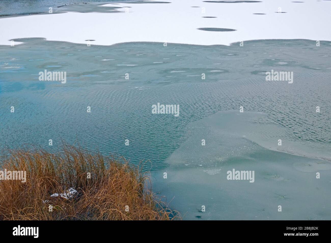 Lake freezes in early winter, waves on water surface, reed plants on foreground Stock Photo