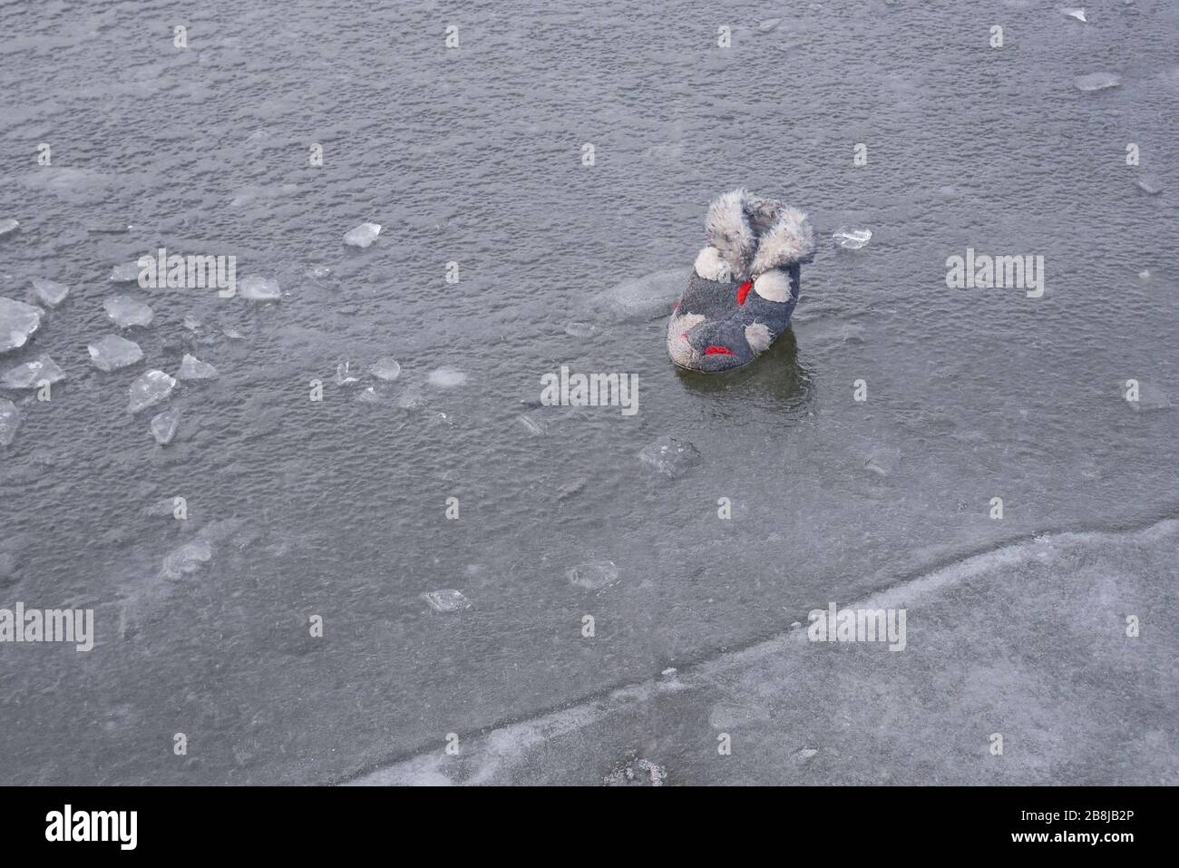 Fluffy obsolete discarded vegan slipper on the gray frozen water surface Stock Photo