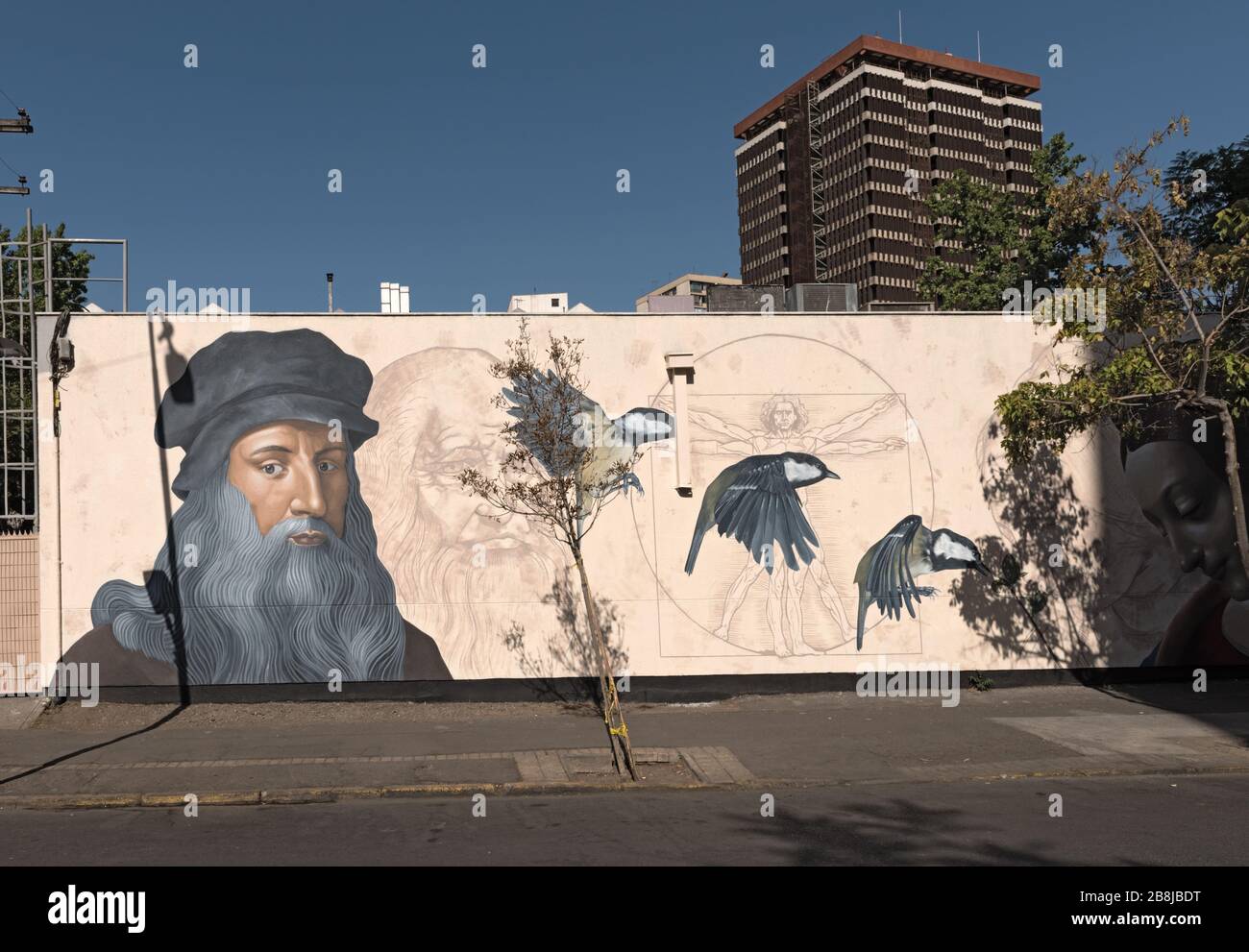 Street art mural, graffiti in the capital of Chile, Santiago Stock Photo