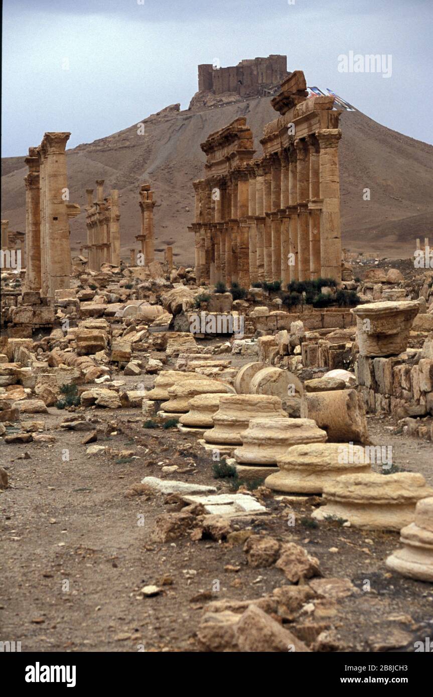 Great Colonnade. Palmyra. Syria Stock Photo