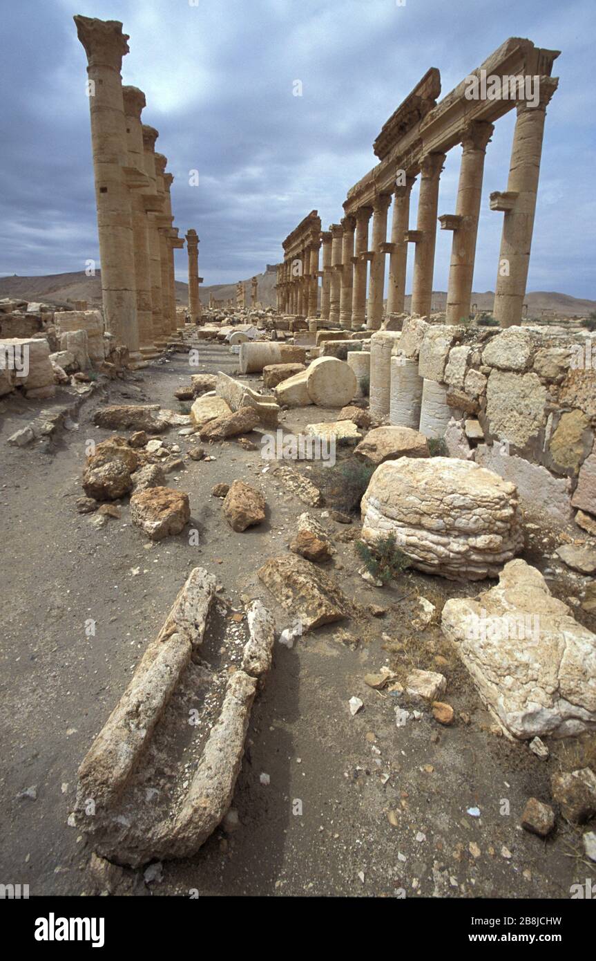 Great Colonnade. Palmyra. Syria Stock Photo